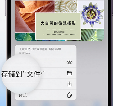 西市apple维修中心分享iPhone文件应用中存储和找到下载文件