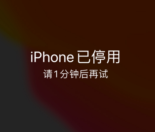 西市苹果手机维修分享:iPhone 显示“不可用”或“已停用”怎么办？还能保留数据吗？ 