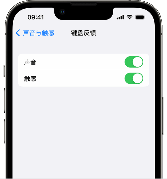 西市苹果14维修店分享如何在 iPhone 14 机型中使用触感键盘 