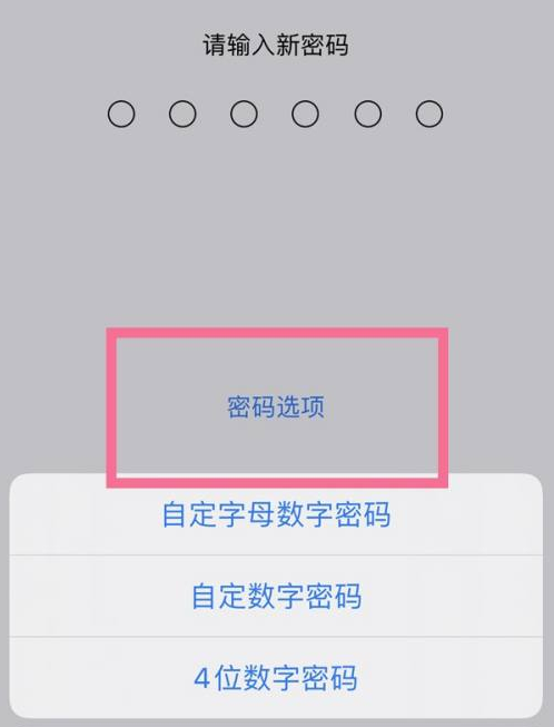 西市苹果14维修分享iPhone 14plus设置密码的方法 