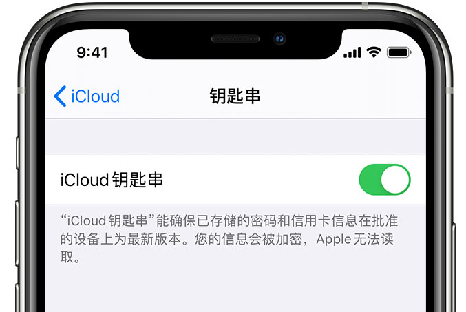 西市苹果手机维修分享在 iPhone 上开启 iCloud 钥匙串之后会储存哪些信息 