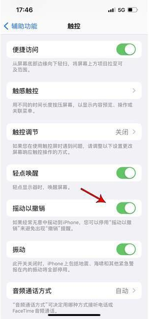 西市苹果手机维修分享iPhone手机如何设置摇一摇删除文字 