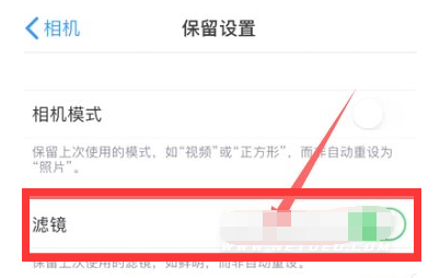 西市苹果13维修分享iPhone13拍照有绿点是怎么回事 