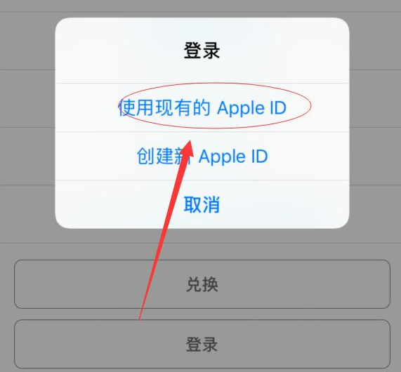 西市苹果手机维修分享两台iPhone设备可以同时登录一个Apple ID吗 